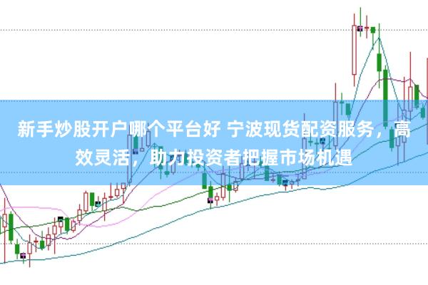 新手炒股开户哪个平台好 宁波现货配资服务，高效灵活，助力投资者把握市场机遇