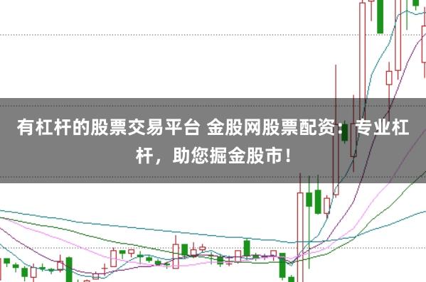 有杠杆的股票交易平台 金股网股票配资：专业杠杆，助您掘金股市！